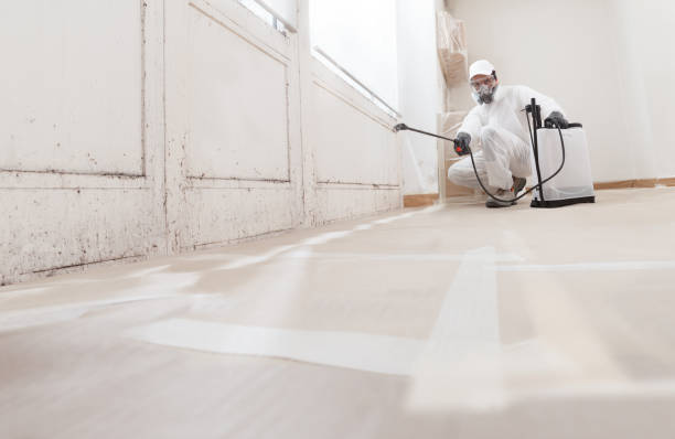 24/7 Emergency Bathroom Mold Removal experts in Hillside, IL